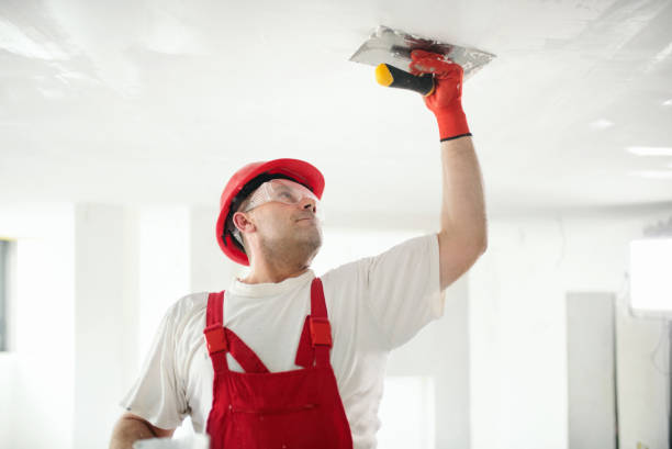 Best Fire-Damaged Drywall Repair  in Pine Castle, FL