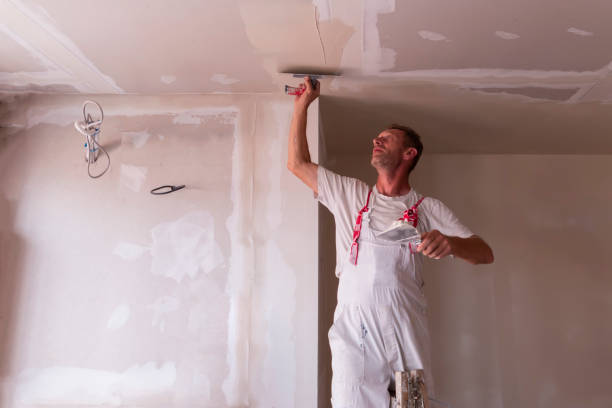 Best Drywall Sanding and Smoothing  in Pine Castle, FL